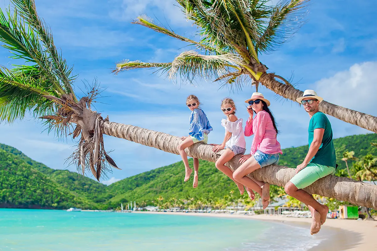 antigua-family-palm-trees.webp