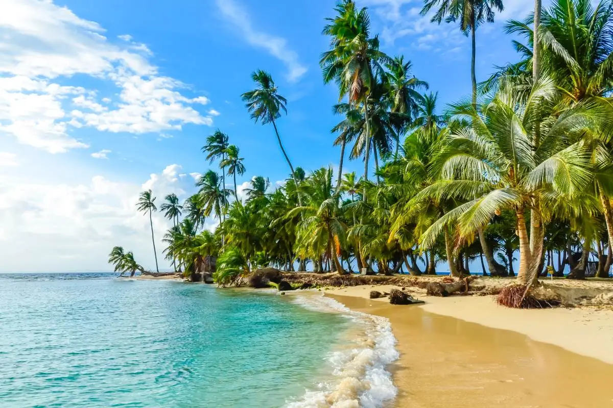 caribbean beach