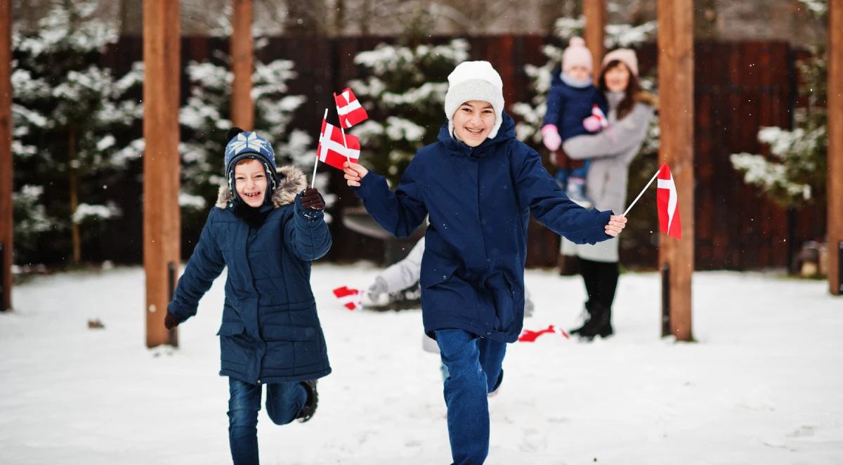 denmark family snow flag