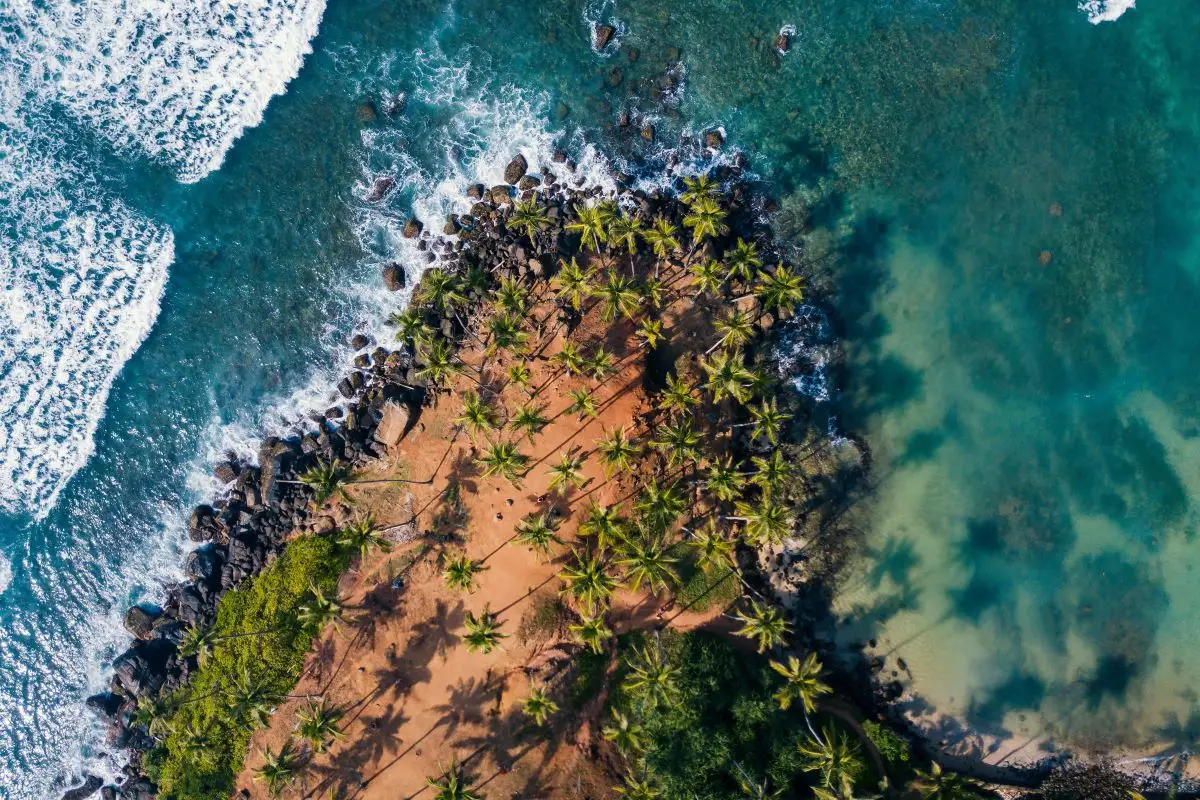 Sri Lanka Introduces a Digital Nomad Visa: Residency for Foreign Earners