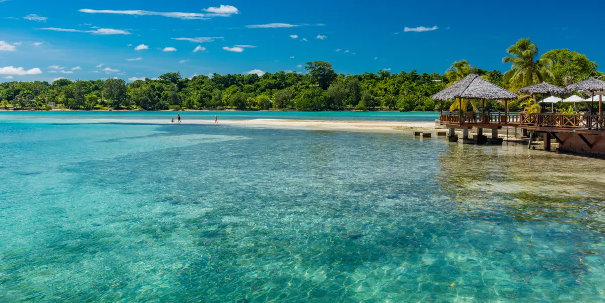 vanuatu erakor island beach forest